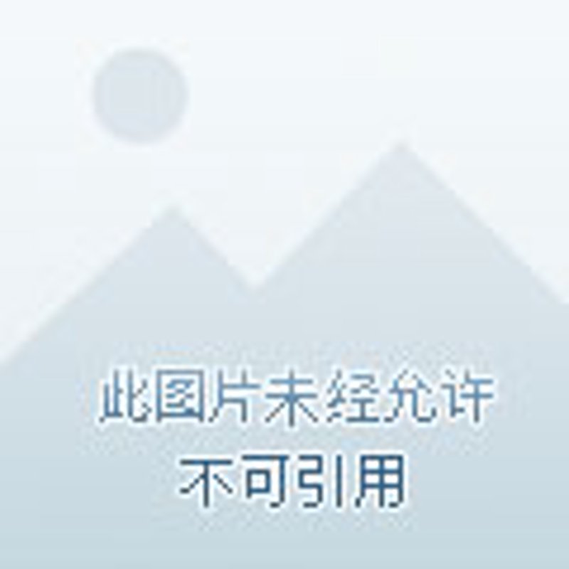 小程序开发在厦门：创新营销的利器